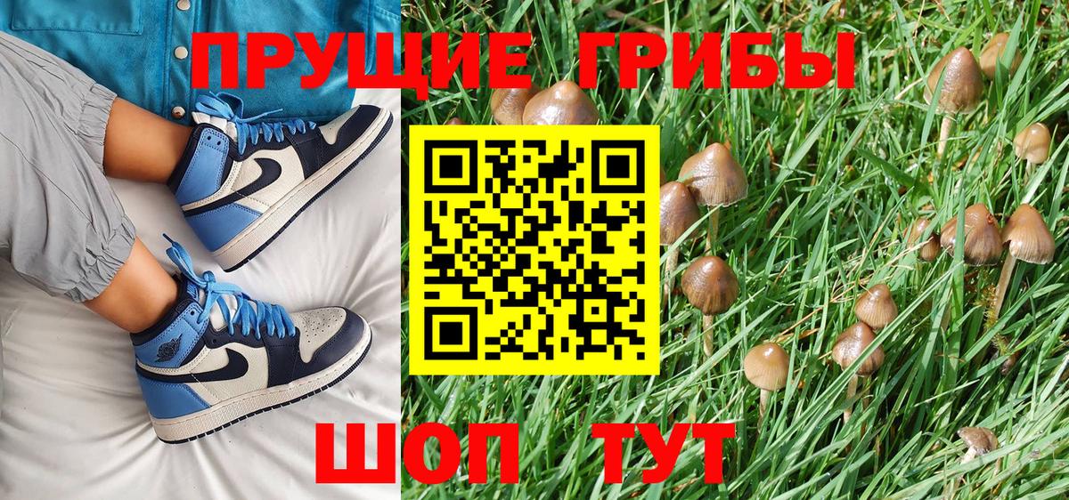 Ступино  Псилоцибиновые грибы GOLDEN TEACHER  Вход с VPN 
